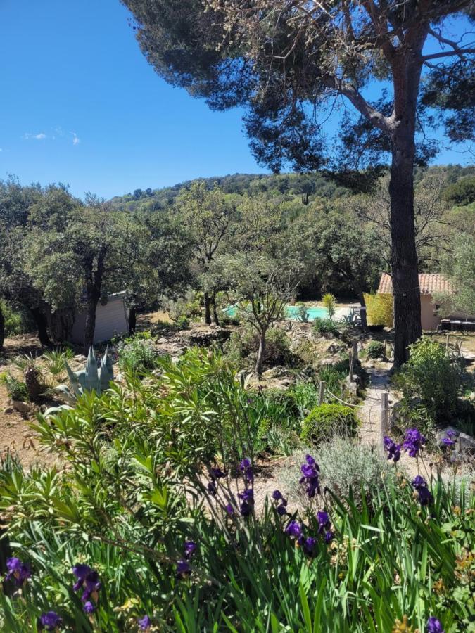 Bastide Cigaline Villa Le Beausset Bagian luar foto
