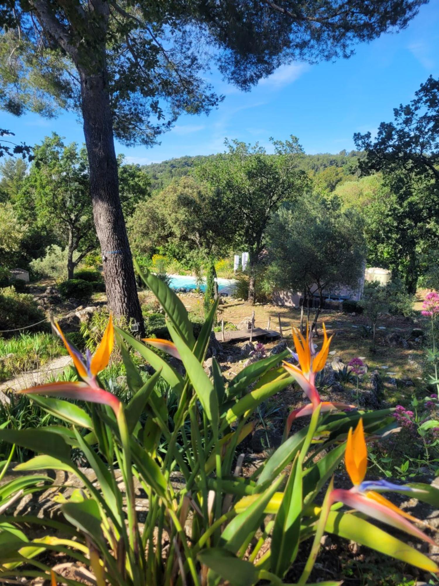 Bastide Cigaline Villa Le Beausset Bagian luar foto