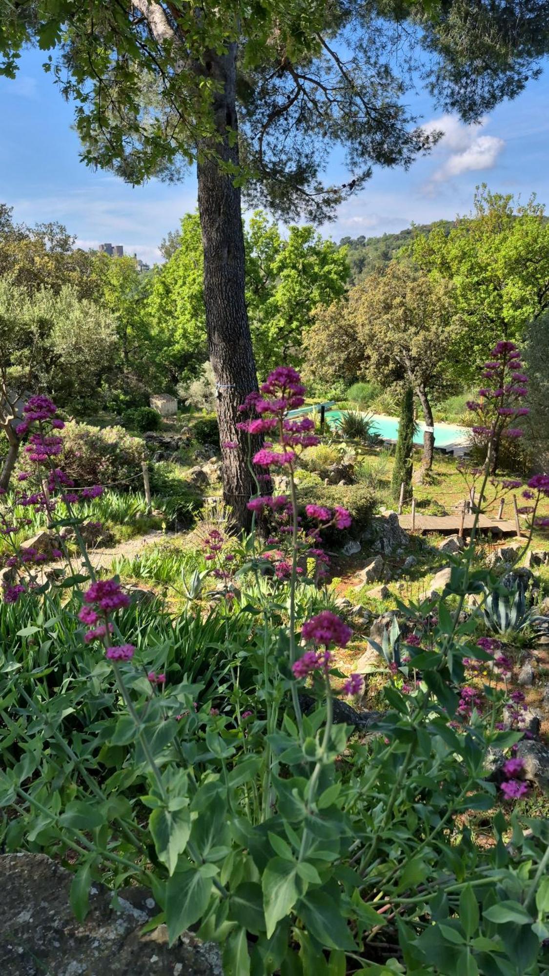 Bastide Cigaline Villa Le Beausset Bagian luar foto